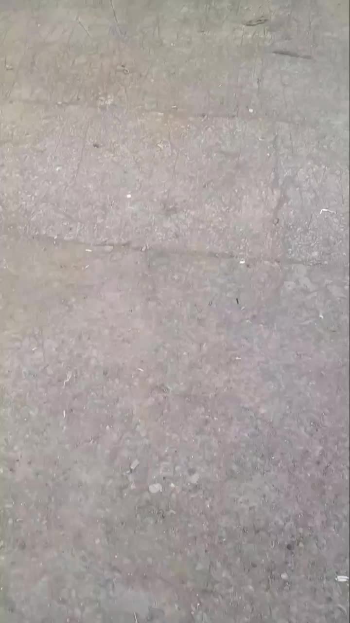 منقل گازی هود دار|اجاق گاز و لوازم برقی پخت‌وپز|کرمانشاه, |دیوار