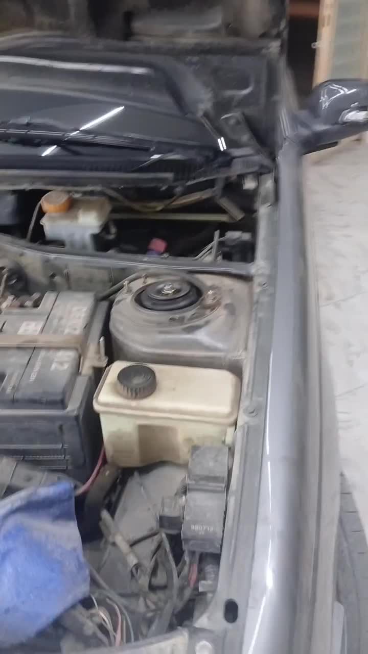 ریکاوری رنگ حرفه ای شاین|خدمات موتور و ماشین|ایلام, |دیوار