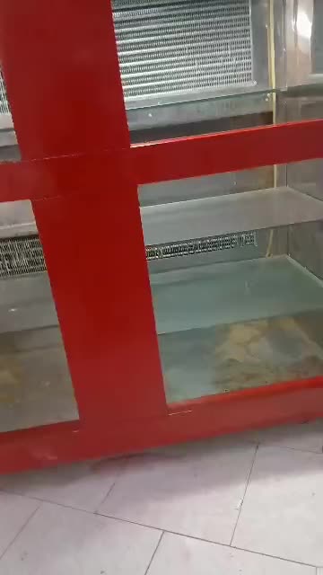 یخچال ایستاده|فروشگاه و مغازه|بندر ماهشهر, |دیوار