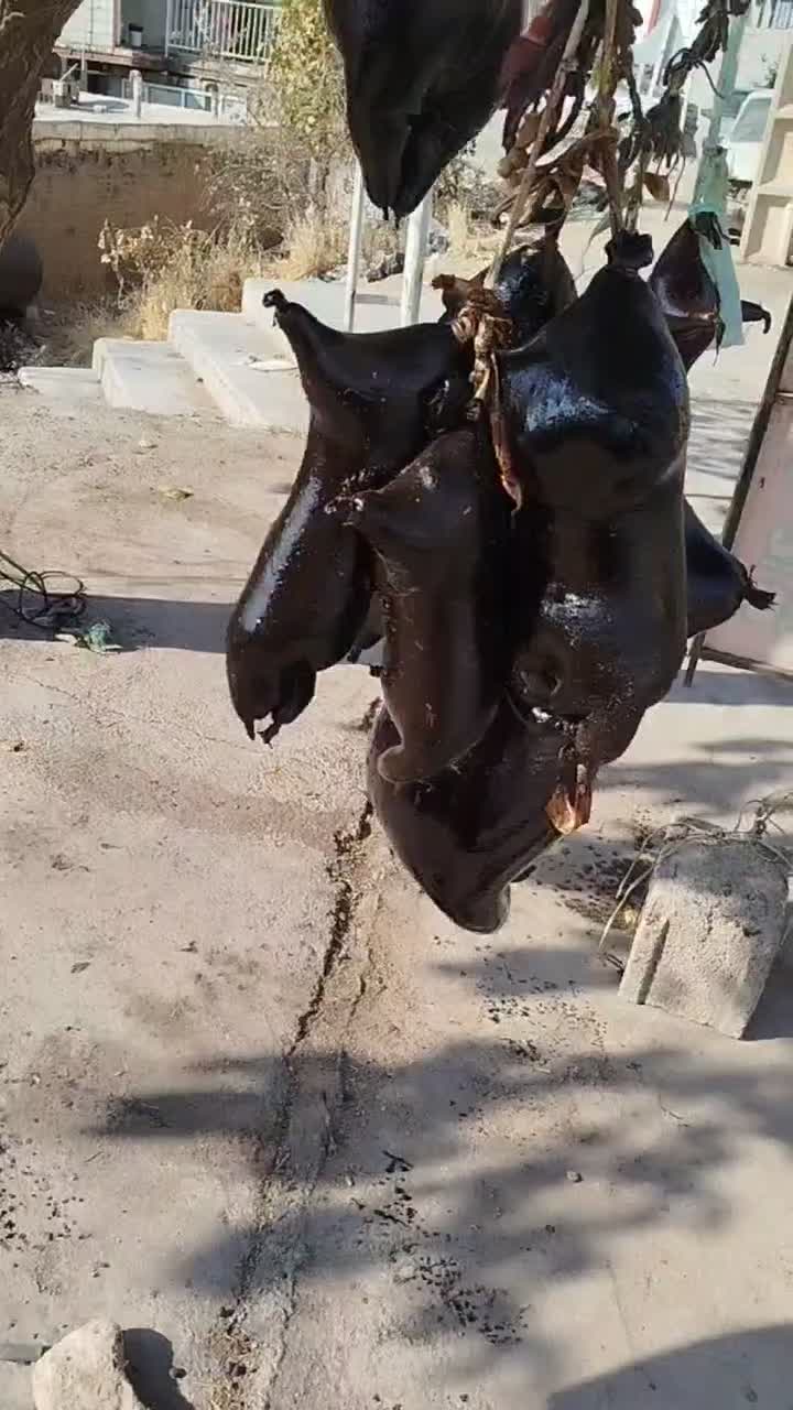 هیزه|عمده‌فروشی|جوانرود, |دیوار