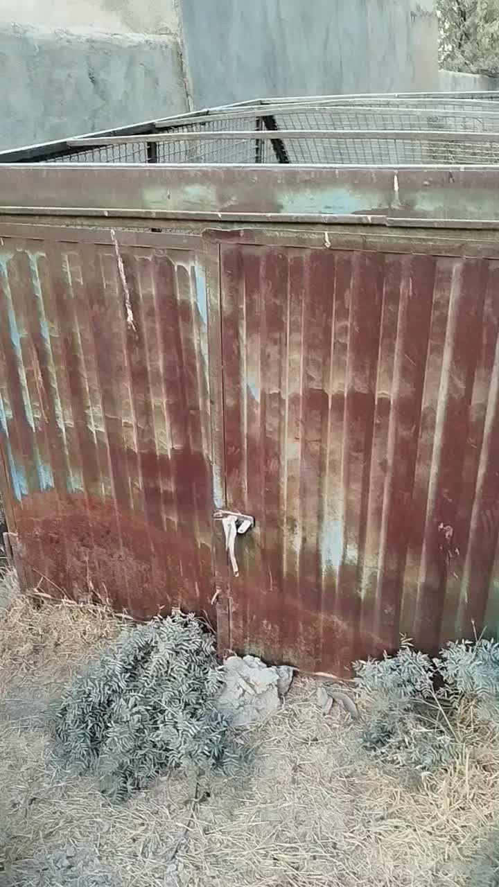 نیسان باربند|خودرو سواری و وانت|بروجرد, |دیوار