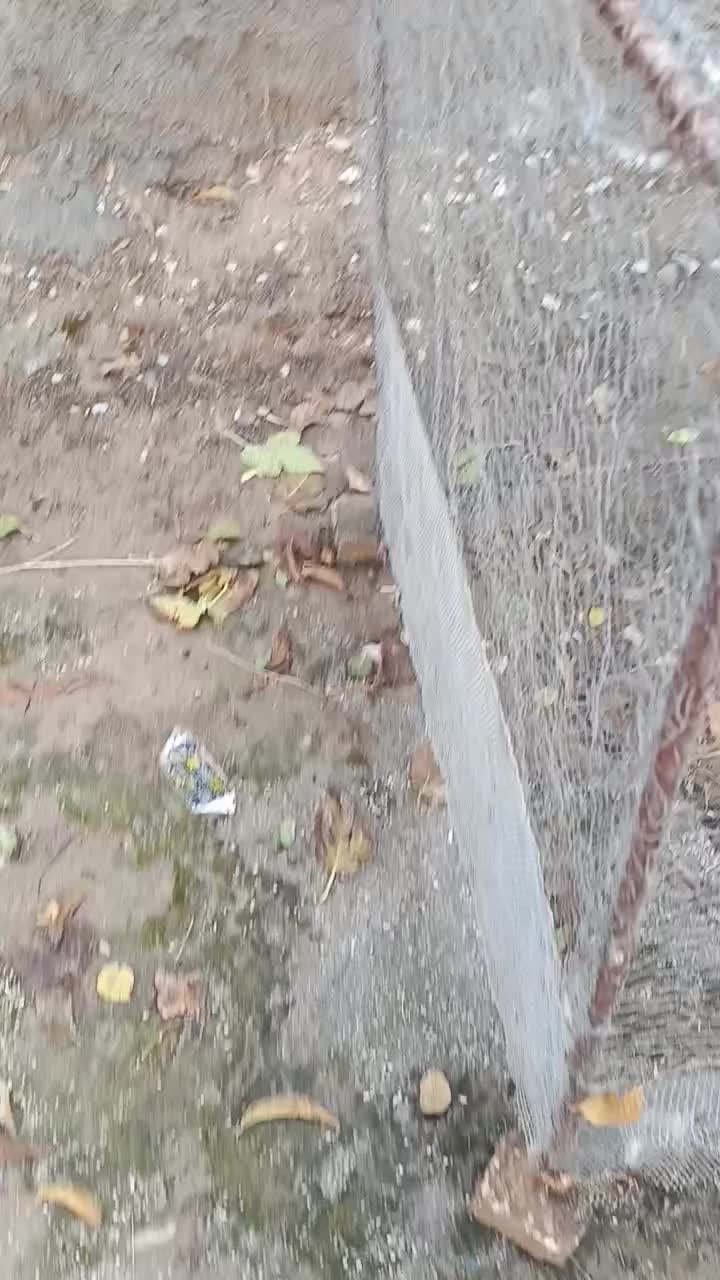 قفس|لوازم جانبی حیوانات|سرپل ذهاب, |دیوار