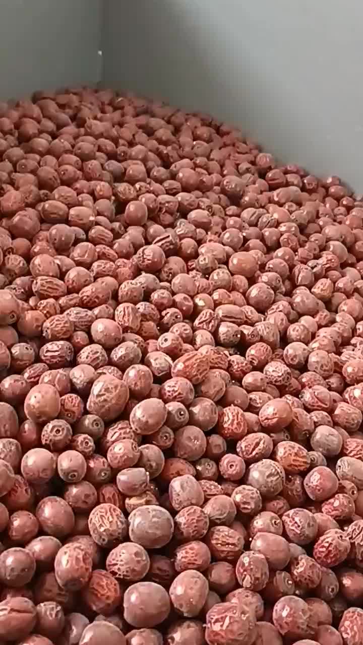 طبقه بندی و سورت عناب (شقلی کردن )|ماشینآلات صنعتی|بیرجند, |دیوار