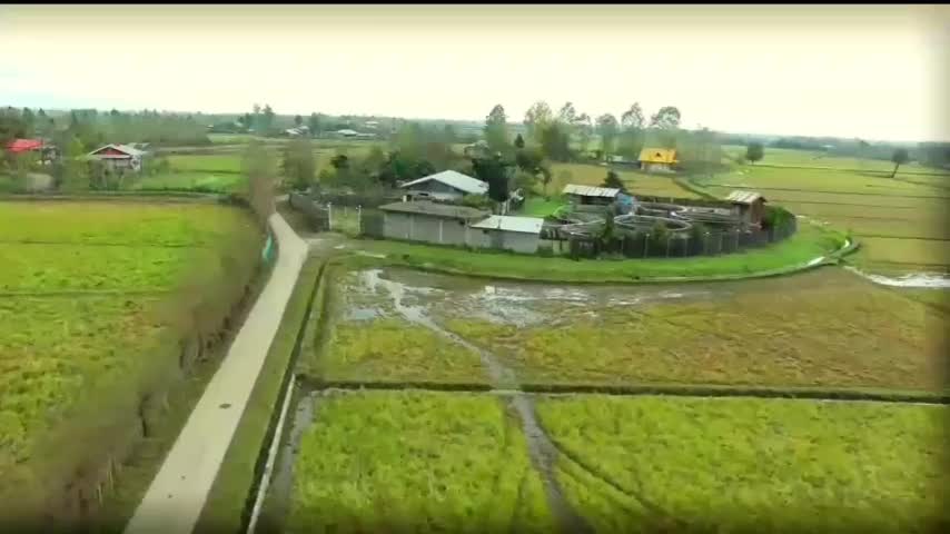 فروش استخر بتنی ۱۰ تنی ماهی قزل‌آلا با سند تک برگ|فروش دفتر صنعتی، کشاورزی، تجاری|ماسال, |دیوار