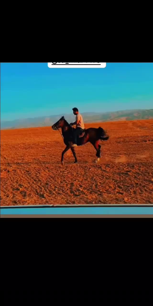 فروش‌‌کرهه‌مادیون‌درجه‌یک‌‌3 ساله‌از طوفان قم‌|اسب و تجهیزات اسب‌سواری|بروجرد, |دیوار