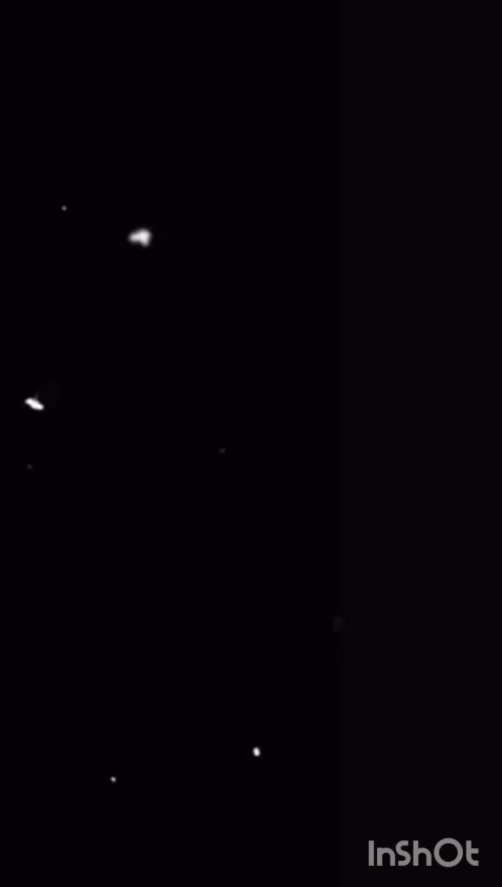 اسب|اسب و تجهیزات اسب‌سواری|تهران, شیخ هادی|دیوار