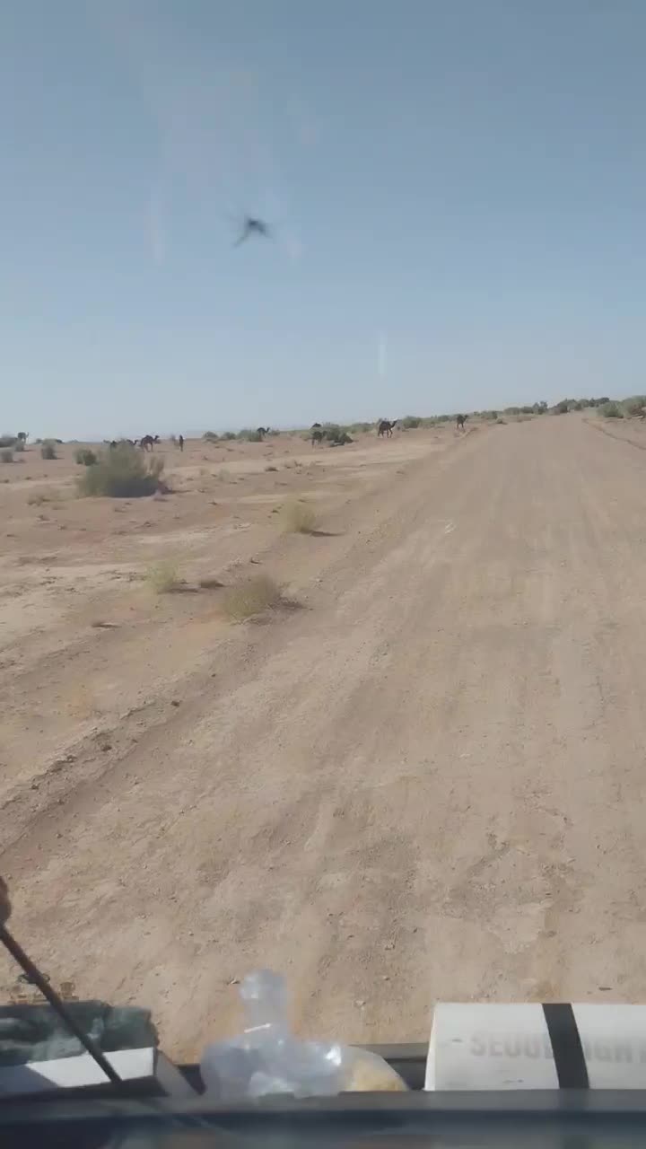 خدمات دربستی مینی بوس هیوندا (  ۱۹ نفره )|خدمات حمل و نقل|مشهد, صیاد شیرازی|دیوار