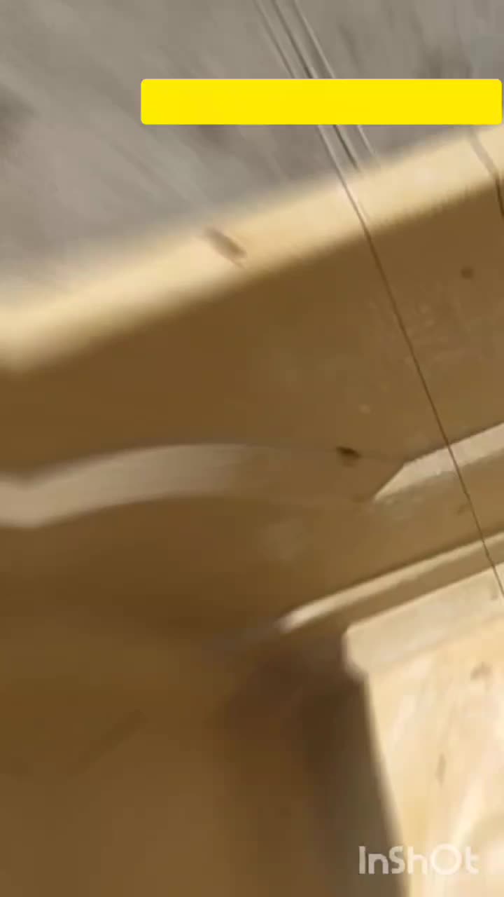 سپرسازی خواهانسپر جلو۴۰۵ به تعداد زور یا دانه|قطعات یدکی و لوازم جانبی|بانه, |دیوار