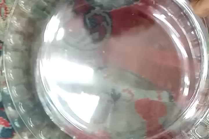 دیس ظروف آشپزخانه|ظروف سرو و پذیرایی|اسلامشهر, مطهری|دیوار