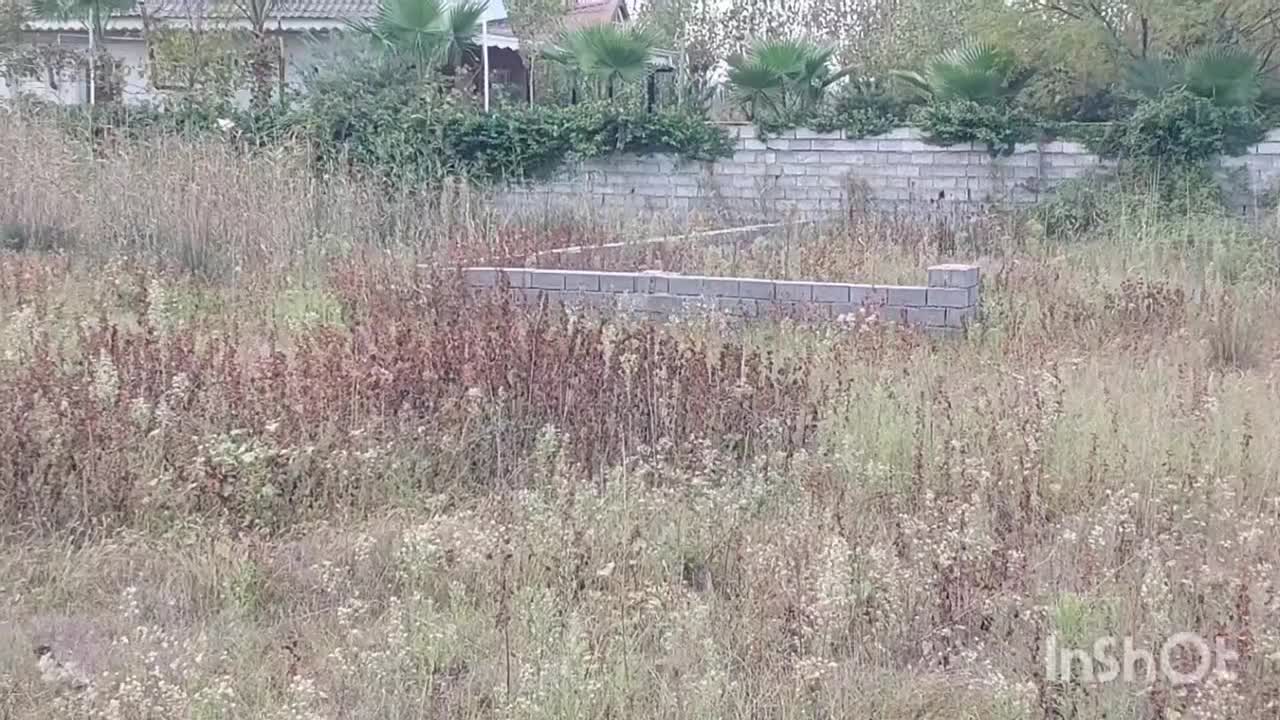 زمین ۲۶۷ متری روبروی طرح ساحلی داخل بافت|فروش زمین و ملک کلنگی|چاف و چمخاله, |دیوار