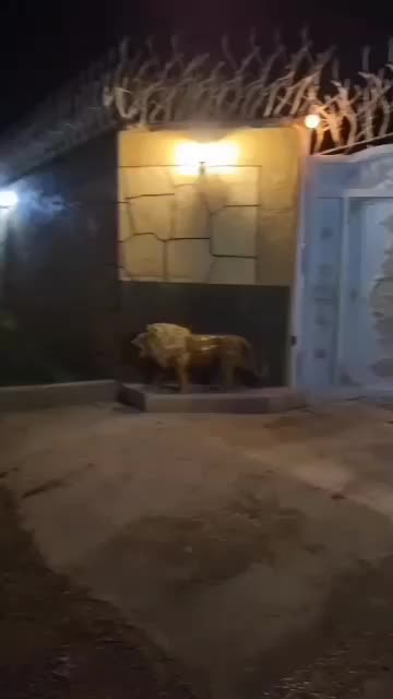 باغ ویلااجاره ای|اجارهٔ کوتاهمدت ویلا و باغ|مشهد, تبادکان|دیوار