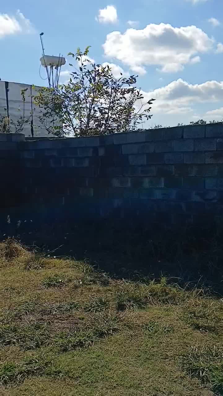 زمین پیشنهادی برای ساخت ساز،طرح هادی|فروش زمین و ملک کلنگی|رضوانشهر, |دیوار