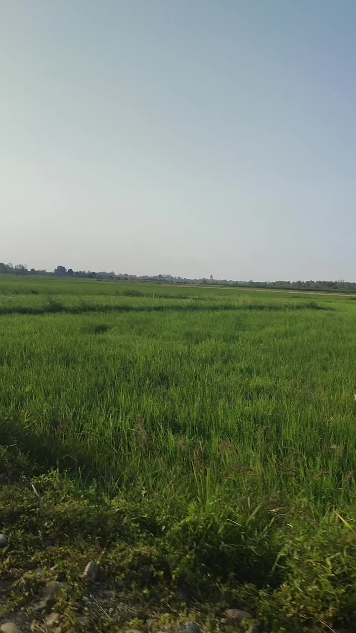 زمین گلزاران رشت  124متری|فروش زمین و ملک کلنگی|رشت, گلزاران|دیوار