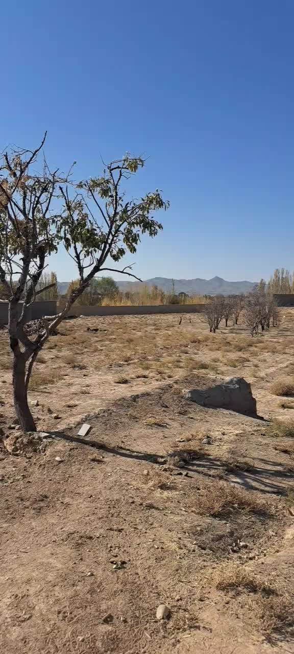 فرصت سرمایه‌گذاری پرسود در نزدیکی شهر ـ آغویه|فروش زمین و ملک کلنگی|تربت‌حیدریه, آغوی|دیوار