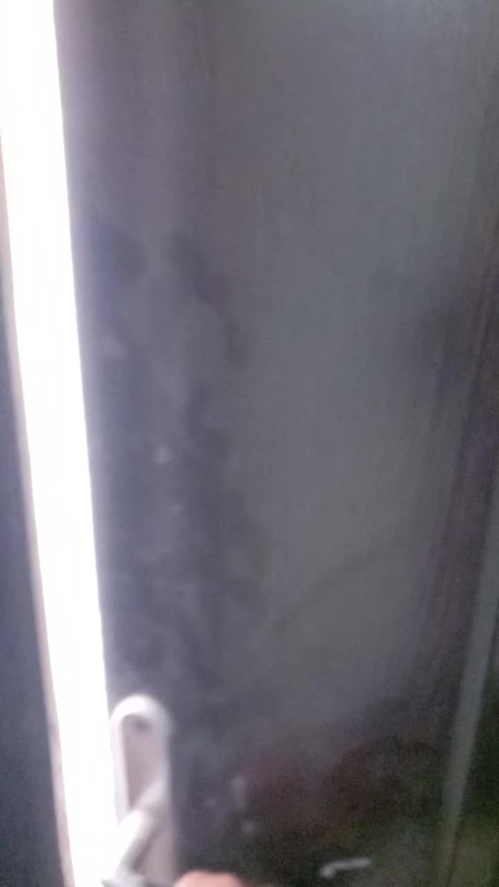 آپارتمان ۷۵ متری در تربت حیدریه|فروش آپارتمان|تربتحیدریه, شهرک ولیعصر|دیوار