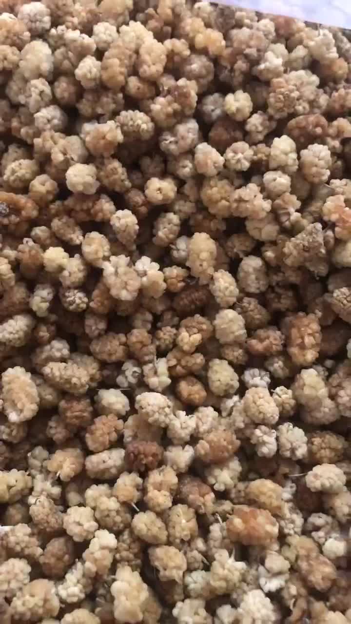 توت خشک شیرین و خوشمزه |خوردنی و آشامیدنی|شاهدشهر, |دیوار