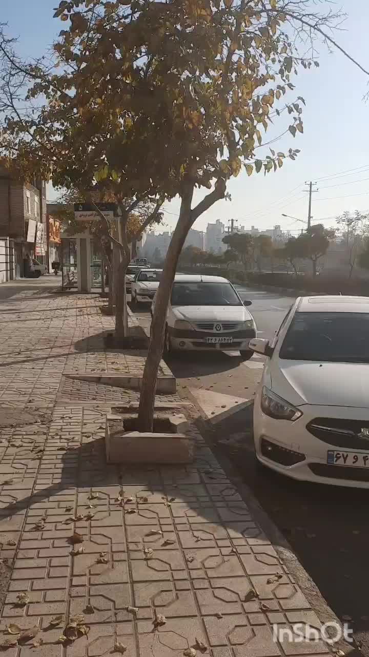 مغازه تجاری هفتاد متری بلوار ادیب خدمات خودرویی|اجارهٔ مغازه و غرفه|مشهد, ولیعصر (شهرک غرب)|دیوار