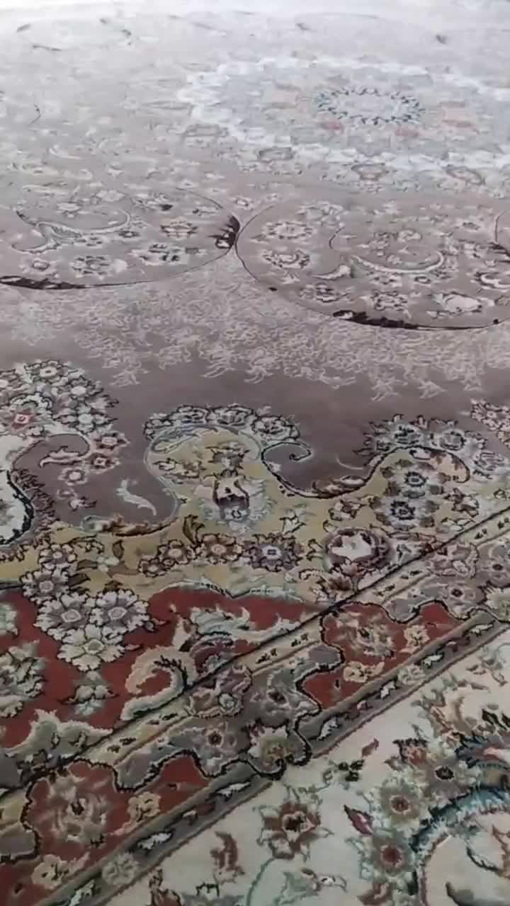 عروس هلندی سخنگو و آواز خوان|پرنده|تربت جام, معدآباد|دیوار