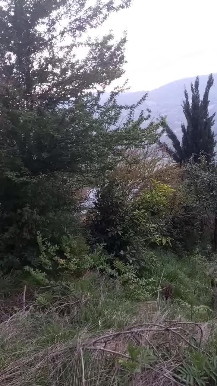 فروش ۲۰۰ متر زمین خرچنگ یادمان در بافت|فروش زمین و ملک کلنگی|پایین هولار, |دیوار