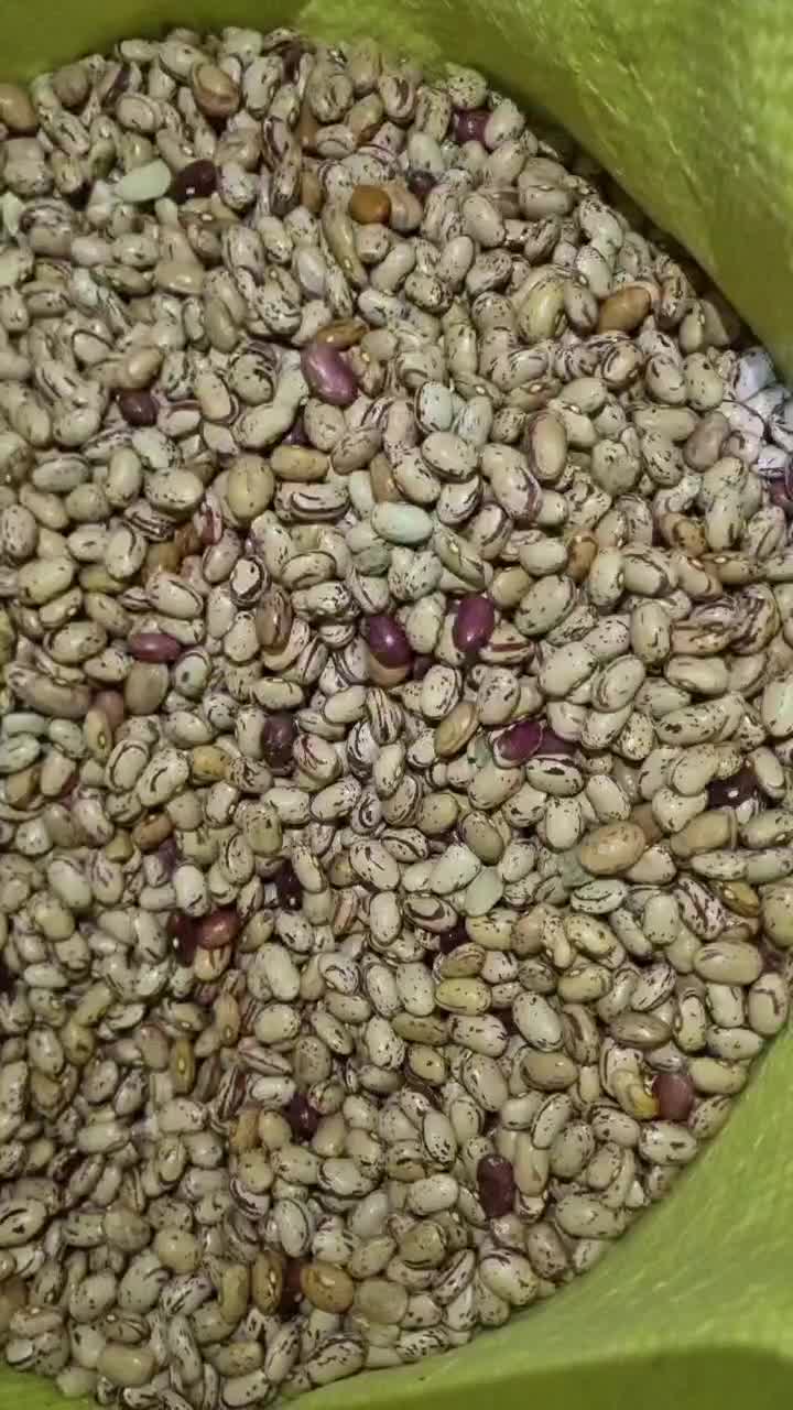 لوبیا چیتی|عمدهفروشی|اصفهان, نصرآباد|دیوار