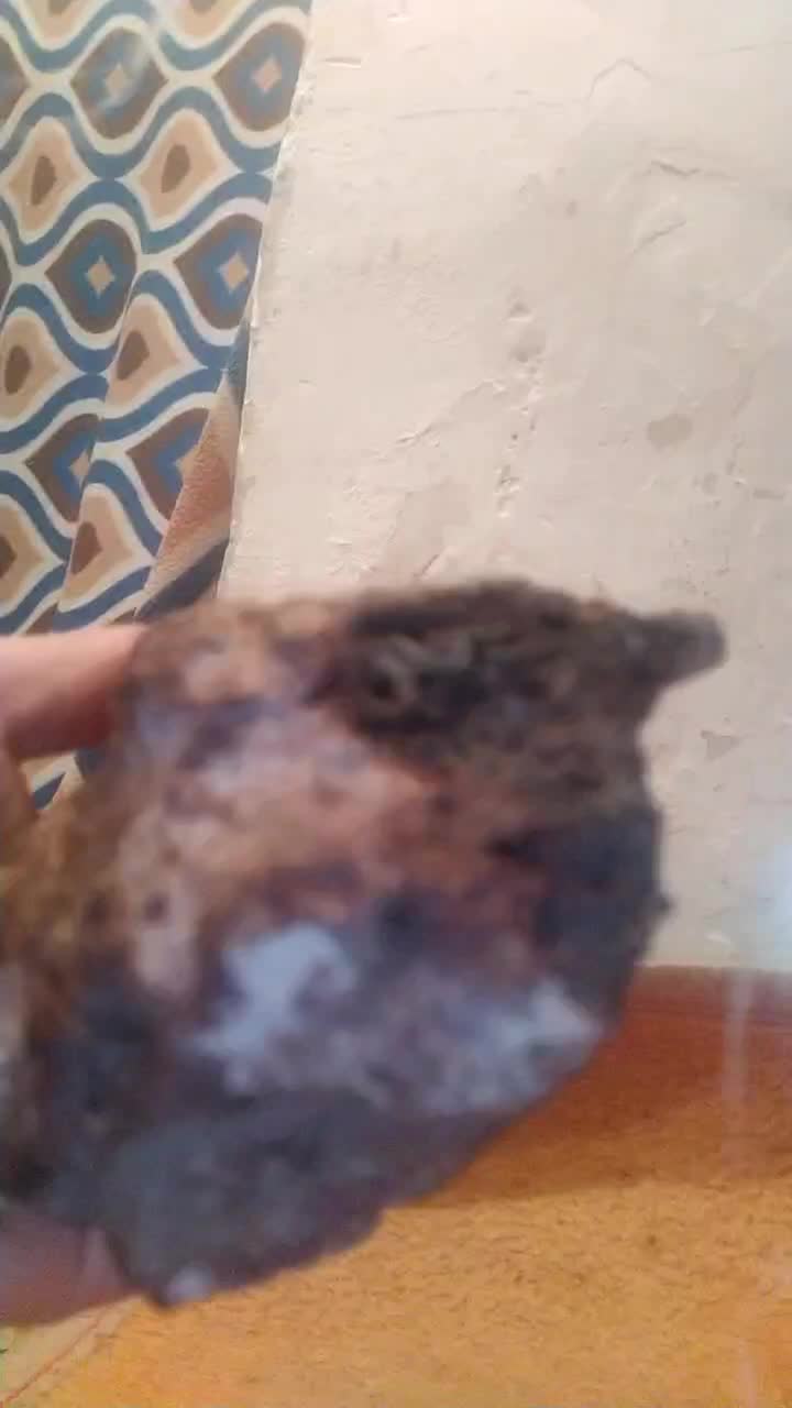 فروش شهاب سنگ‌|جواهرات|قروه, |دیوار