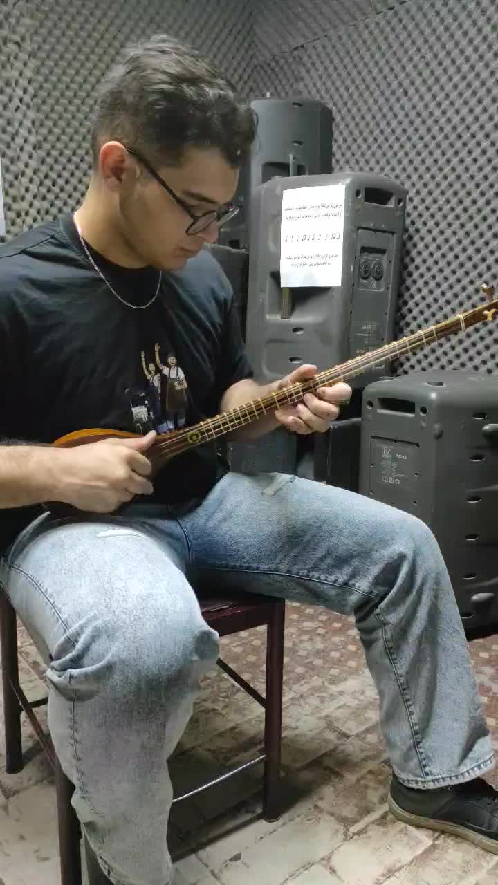 سه تار دیبا به همراه هاردکیس|سازهای سنتی|وحیدیه, |دیوار