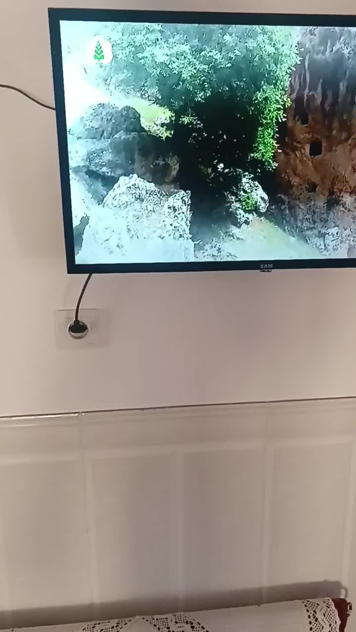 تلویزیون ال ای دی سام ۳۲اینچ خشک خشک درحد.|تلویزیون و پروژکتور|گرگان, |دیوار