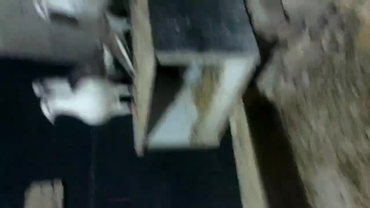 سبز ابلغ|پرنده|بیرجند, |دیوار