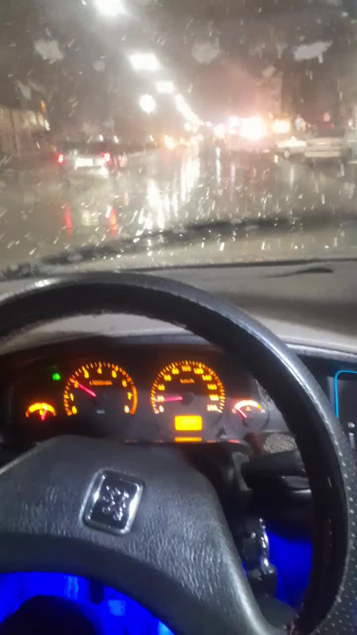 سگ پاپی|سگ|فارسان, |دیوار