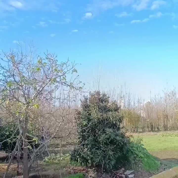 ویلا حومه لاهیجان سنددار ویو رودخانه زیرقیمت|فروش خانه و ویلا|لاهیجان, بازکیاگوراب|دیوار