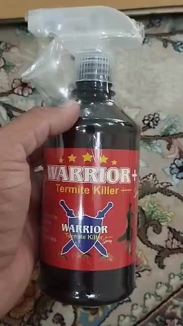 اسپری دفع موریانه|خدمات نظافت|دزفول, |دیوار