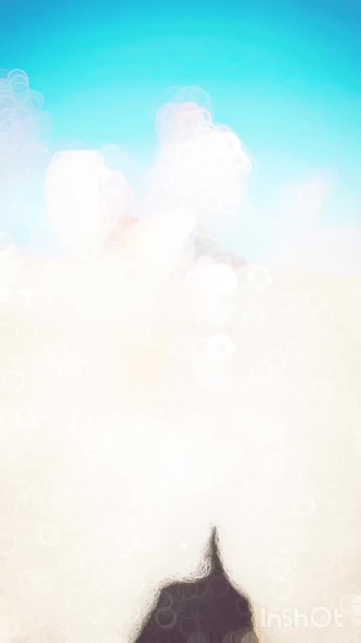 اسب مادیان  کرد|اسب و تجهیزات اسب‌سواری|کمیجان, |دیوار