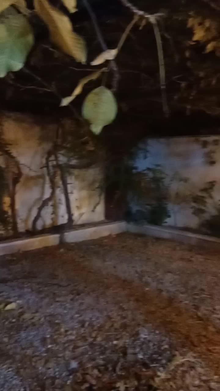 اجاره روزانه ویلا استخر آبگرم کردان|اجارهٔ کوتاه‌مدت ویلا و باغ|هشتگرد, تهران دشت|دیوار