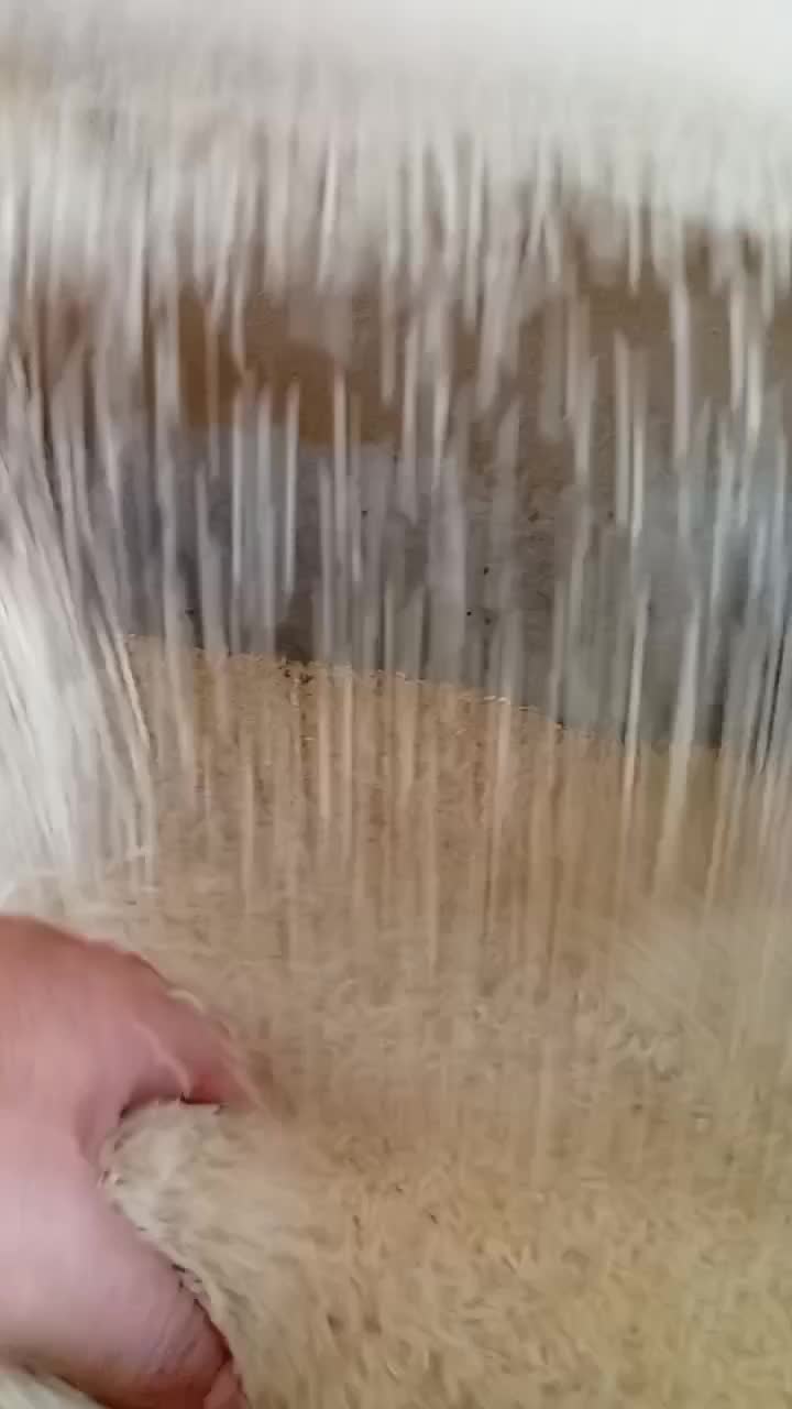 برنج هاشمی الموت|خوردنی و آشامیدنی|محمدیه-قزوین, |دیوار