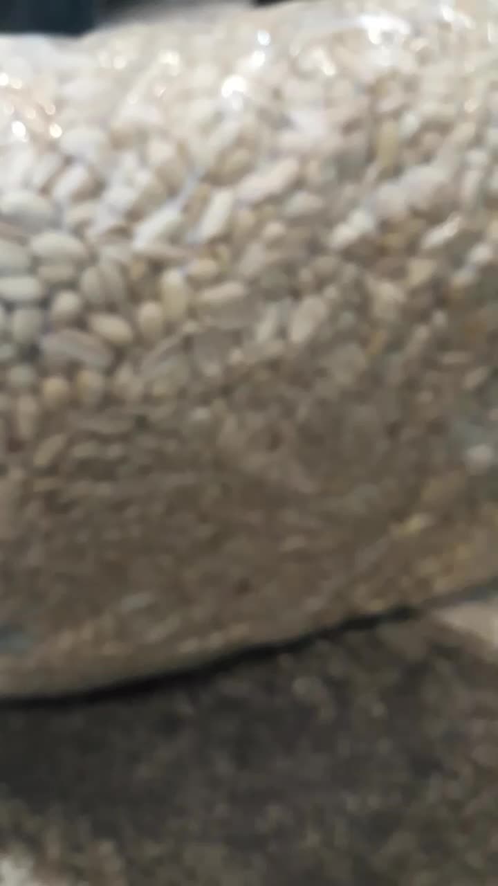بادام زمینی چینی خام پوست سفید شده درجه یک|خوردنی و آشامیدنی|تهران, میدان میوه و تره‌بار مرکزی|دیوار