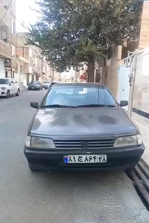 پژو روا|خودرو سواری و وانت|باغستان, |دیوار