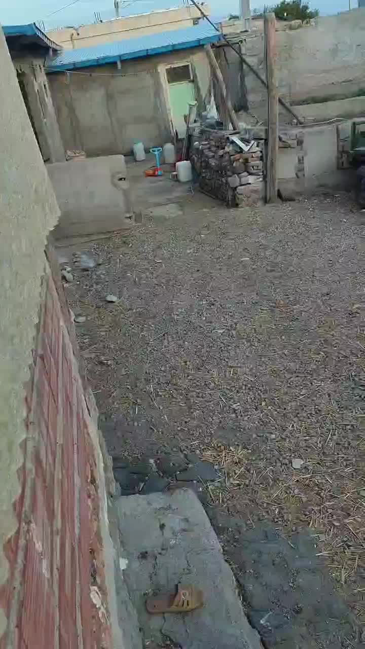 سگ ۱۴ ماهه قدرجونی بزرگ و مخصوص نگهبانی ۱۰ میلیون|سگ|اردبیل, |دیوار