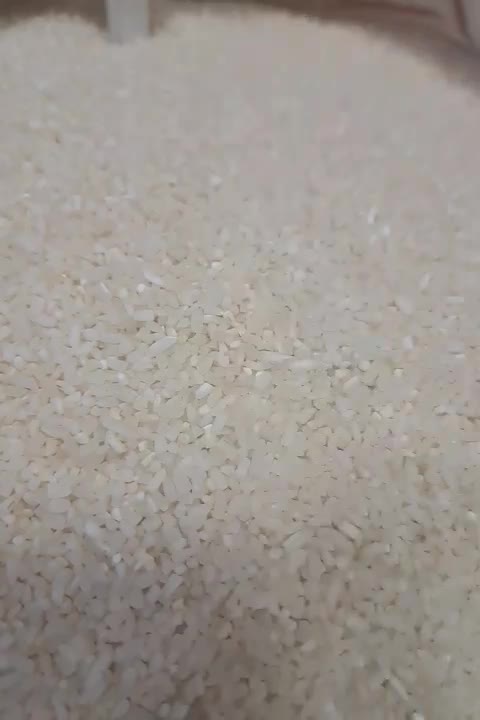 برنج لاشه هاشمی ۱۴۰۰۰۰در فروشگاه رفیعی باکالابرگ|خوردنی و آشامیدنی|قدس, شهرقدس|دیوار