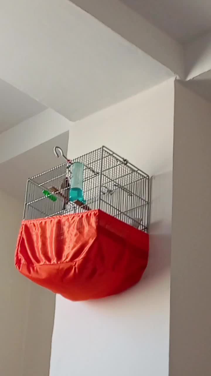 سهره زیبا،داغسر|پرنده|فشاپویه, |دیوار