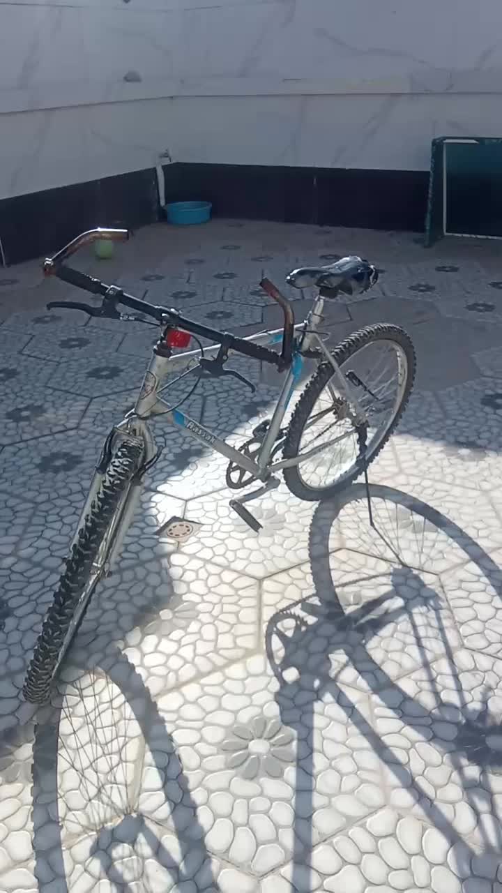 دوچرخه|دوچرخه، اسکیت، اسکوتر|فردوس (خراسان), |دیوار