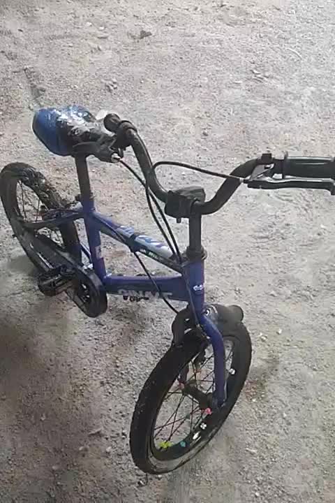 دوچرخه|دوچرخه، اسکیت، اسکوتر|بوشهر, |دیوار