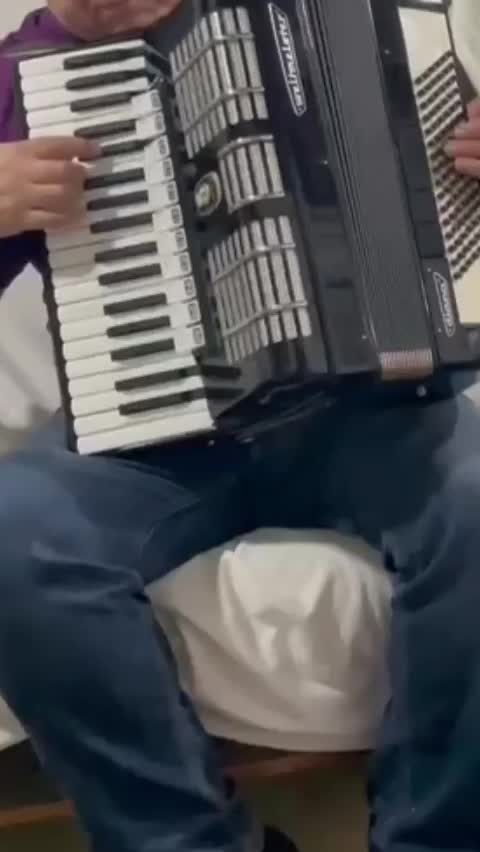 آکاردئون آلمانی ولتمسر دیانا در حد آکبند (۹۶ باس)|پیانو، کیبورد، آکاردئون|لیسار, |دیوار