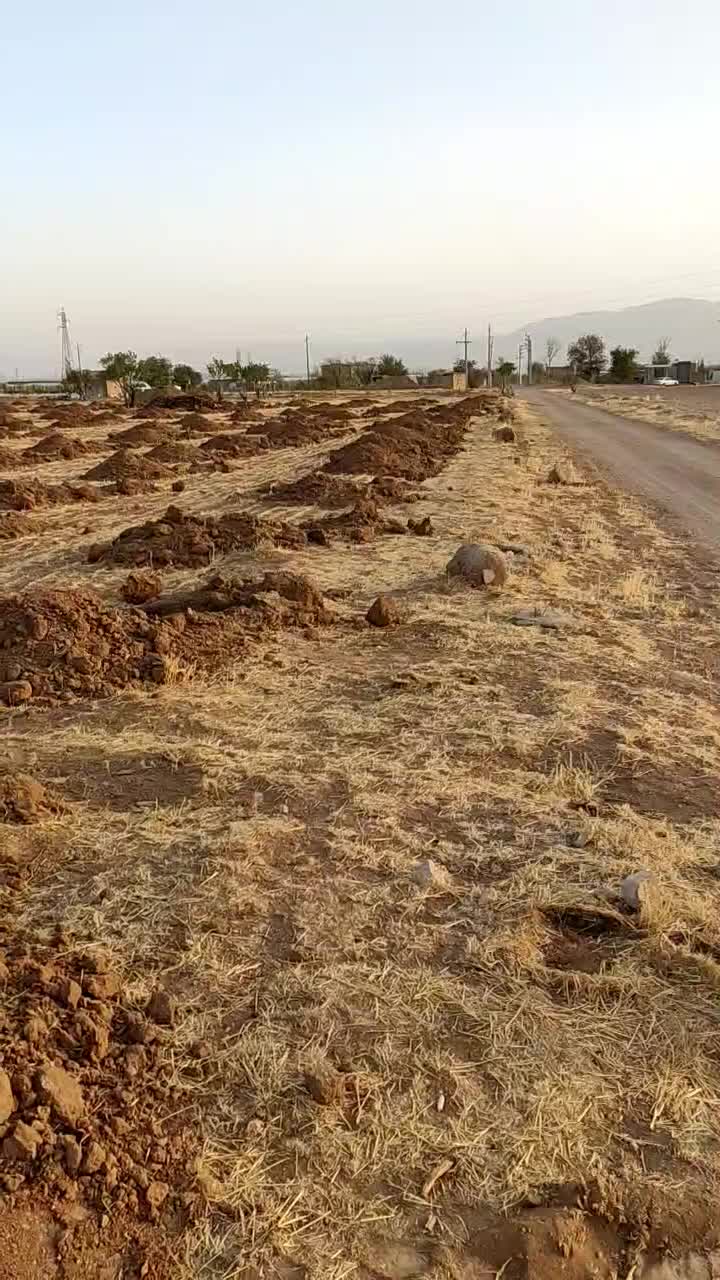 خدمات بیل مکانیکی|خدمات حمل و نقل|ابهر, |دیوار