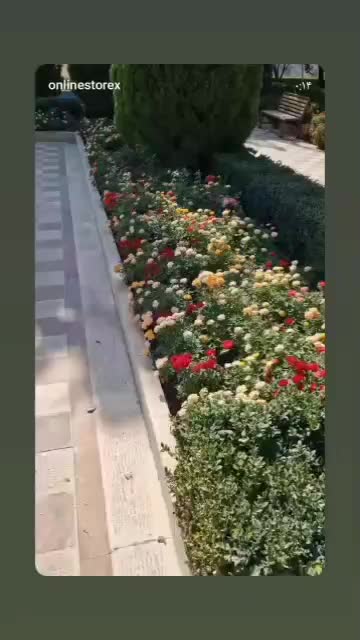 خدمات باغبانی هرسکاری کودهی بیل.زنی|خدمات باغبانی و درختکاری|پرند, فاز ۲|دیوار