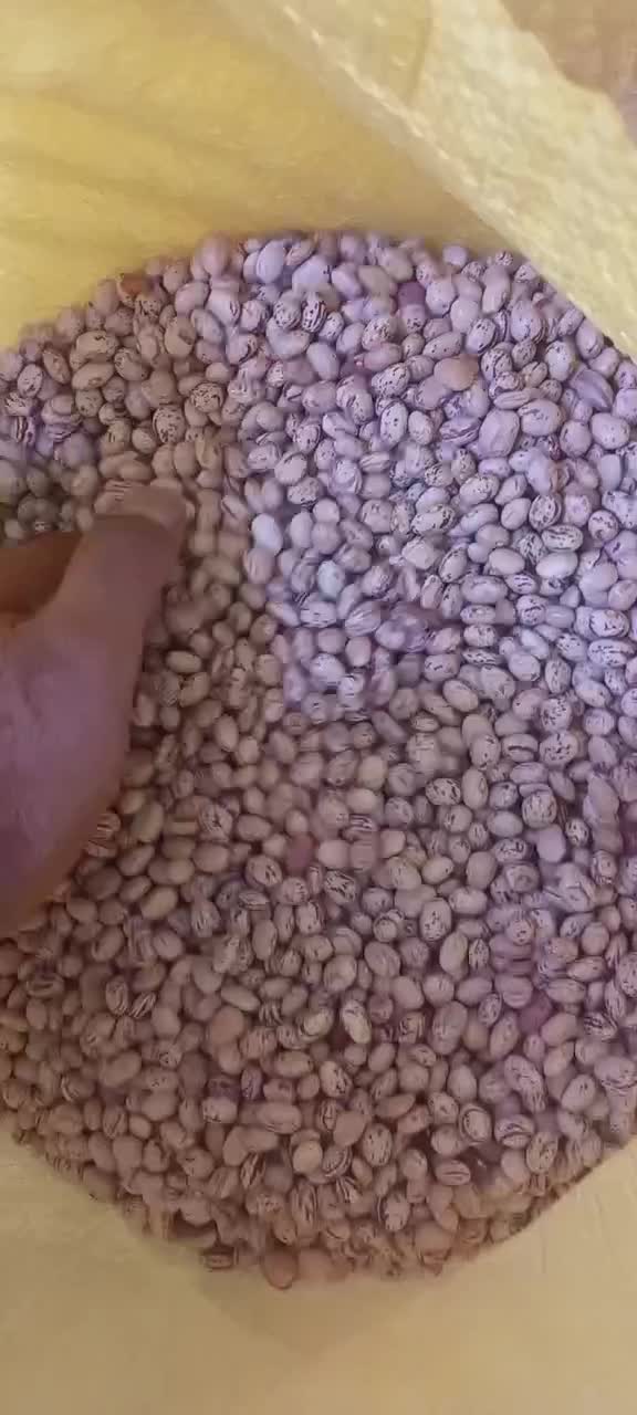 خرید و فروش حبوبات و خشکبار|عمدهفروشی|تهران, هرندی|دیوار