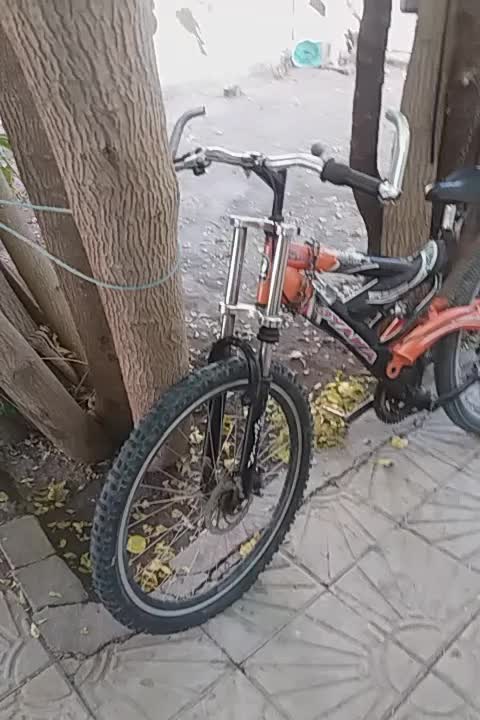 دوچرخ|دوچرخه، اسکیت، اسکوتر|بروجن, |دیوار