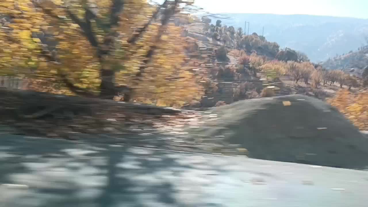 فروش کفش|کیف، کفش، کمربند|سنندج, |دیوار