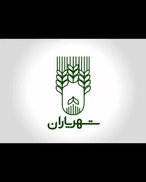 طراحی لوگو و لوگو تایپ تخصصی|خدمات رایانه‌ای و موبایل|شیراز, سینما سعدی|دیوار