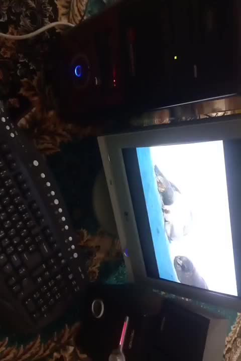 سیستم خانگی|رایانه رومیزی|ملارد, |دیوار