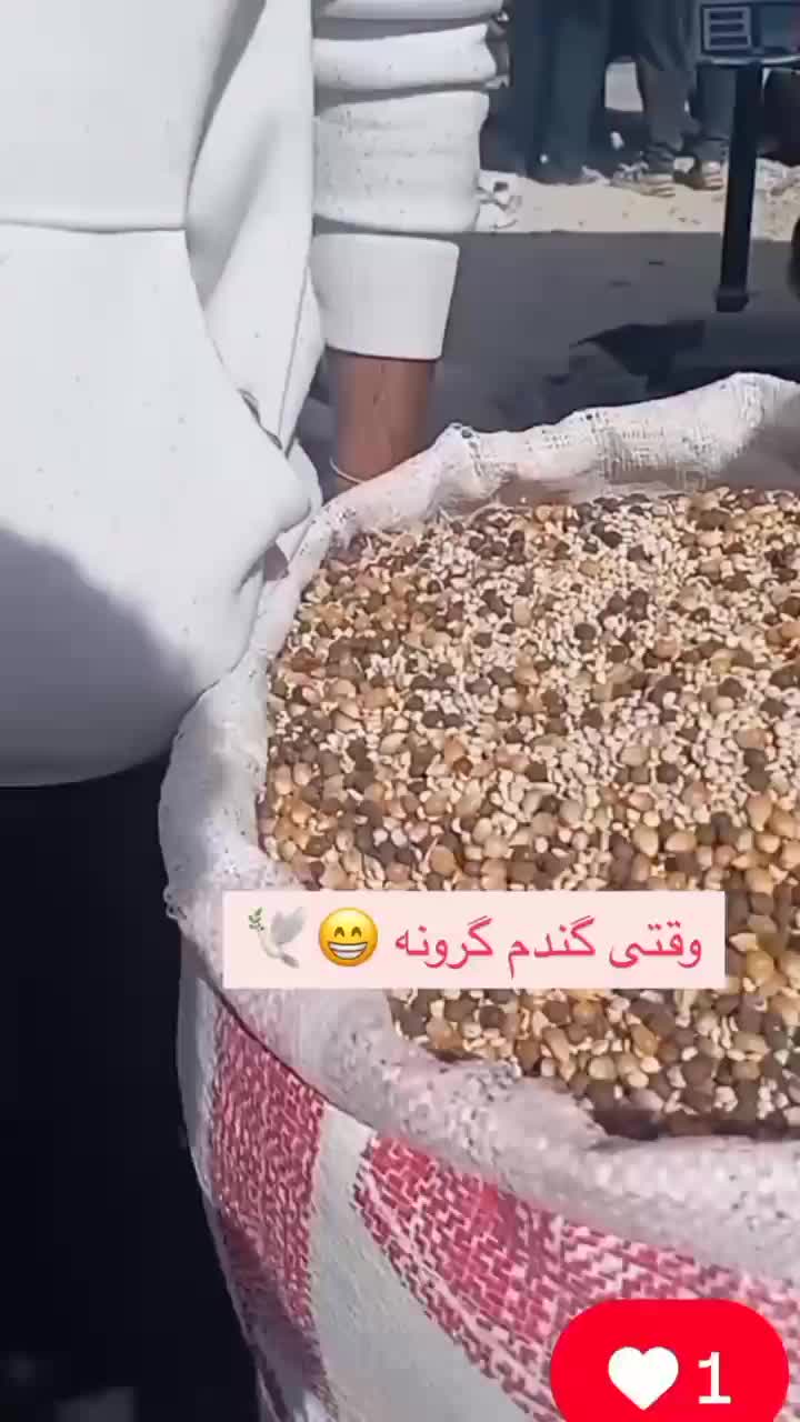 دانه سرا و ملزومات پرندگان آذر|لوازم جانبی حیوانات|میناب, |دیوار